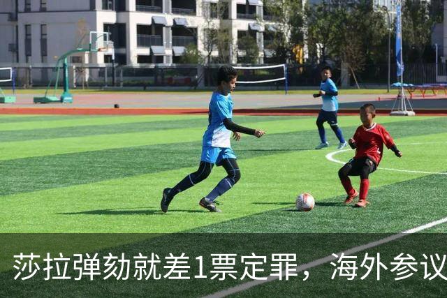 莎拉弹劾就差1票定罪，海外参议员突然放话不排除回国加入多数派，这票能补上吗