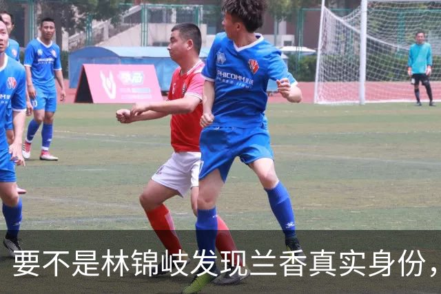要不是林锦岐发现兰香真实身份，他永远不知秦舜华算计有多深
